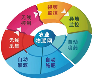 智慧大田解决方案-蒙奇集团