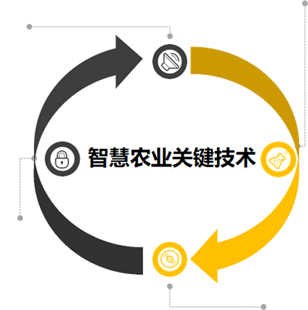 智慧大田解决方案-蒙奇集团