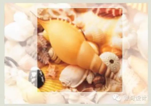 如何设计内页-蒙奇集团