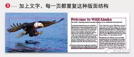 设计全景式版面小册子-蒙奇集团