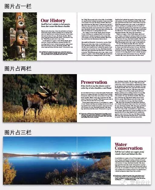 设计全景式版面小册子-蒙奇集团
