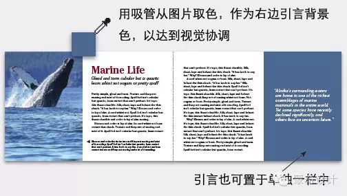 设计全景式版面小册子-蒙奇集团